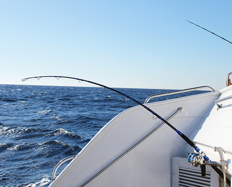 BLUE MARLIN 2105New model 2026, 30-50 LB. Saltwater travel rod, working length: 210 cm, test 200 - 900 g, 54 cm folded - Image 17