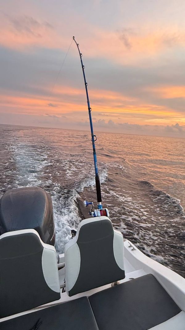 BLUE MARLIN 2105+ new model 2025, 30-50 LB Saltwater rod, working length: 210 cm, test 200 - 900 g, 54 cm folded - Image 12