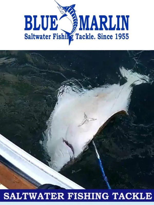2+1 BLUE MARLIN trophy fishing set consisting of a 90-180 cm handle, a 4" gaff head, a harpoon head, a powerful cable and a case - Image 2