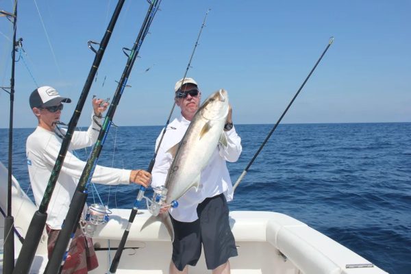 A set of BMJ70 Jigging reels and Blue Marlin rods to choose from! - Image 3